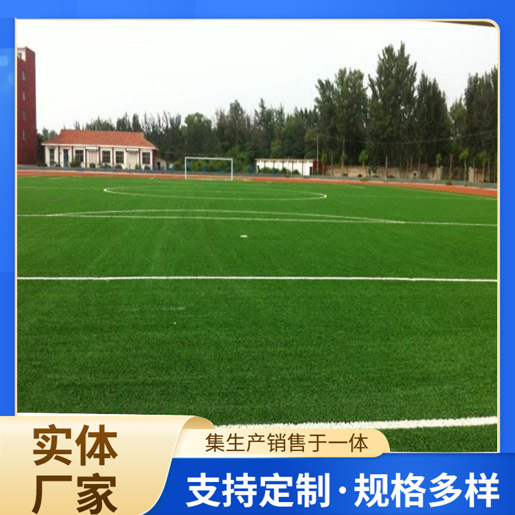 沈阳新民市硅PU人造草坪
